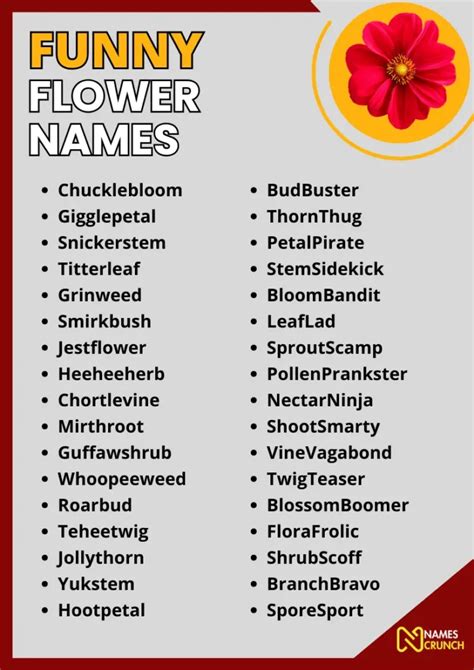 odd flower names|370+ Funny Flower Names [Clever Ideas] .
